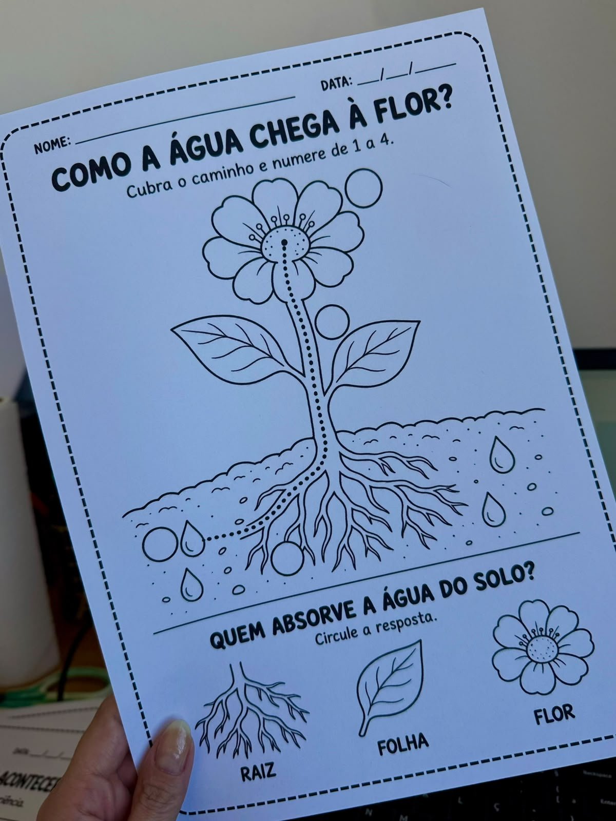 A FLOR QUE GANHA COR - Imagem 4