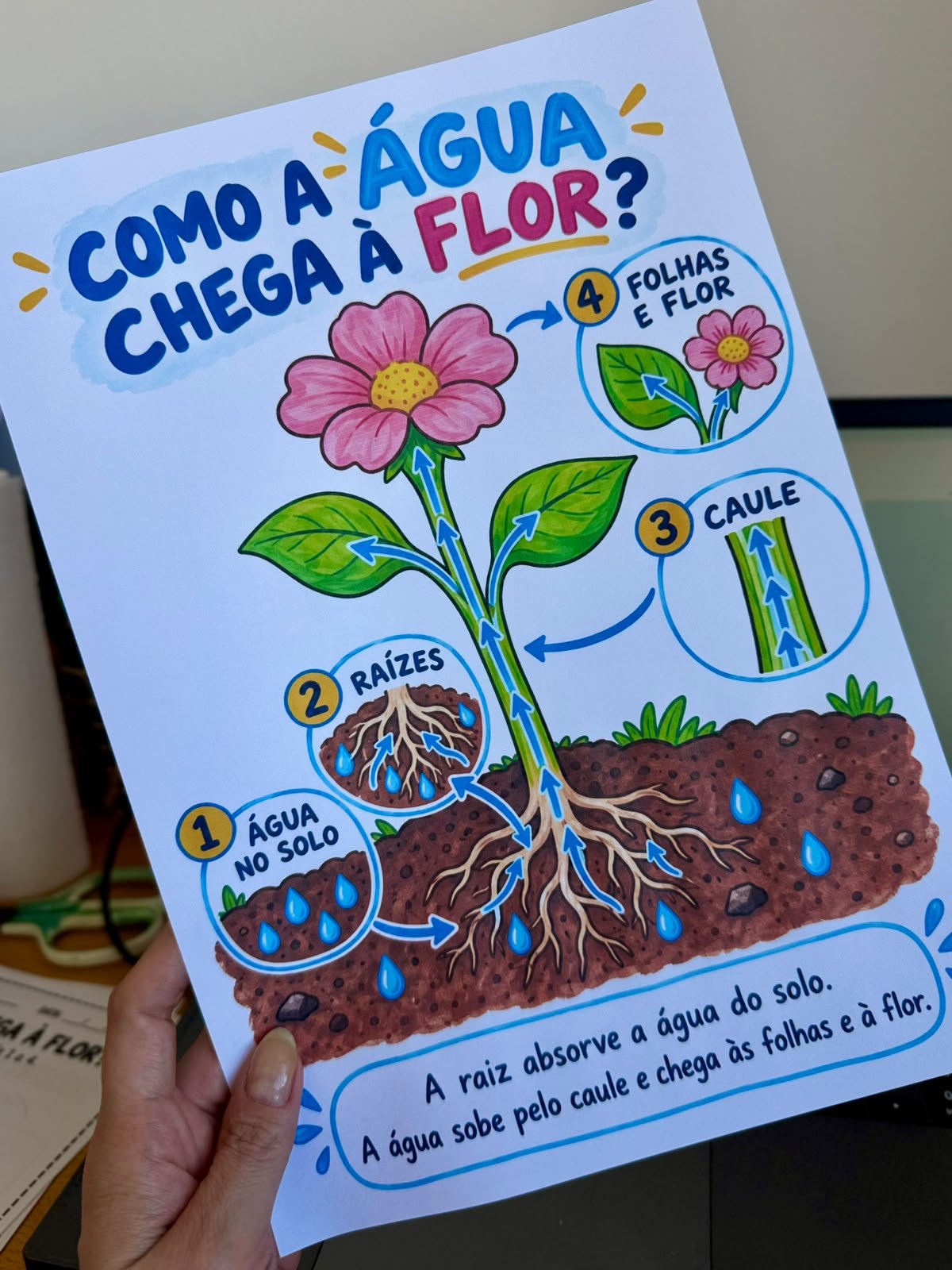 A FLOR QUE GANHA COR - Imagem 5